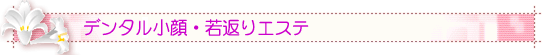 �f���^������E��Ԃ�G�X�e