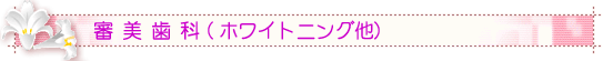 �R������(�z���C�g�j���O��)
